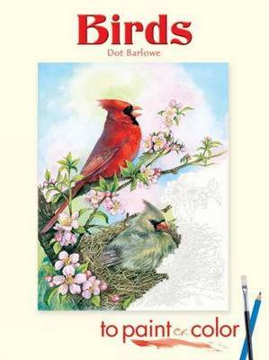 Cover of Birds to Paint or Color