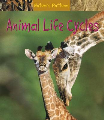 Book cover for Animal Life Cycles