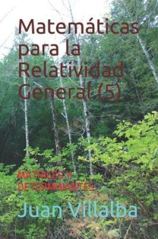 Cover of Matematicas para la Relatividad General (5)