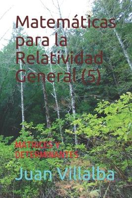 Book cover for Matematicas para la Relatividad General (5)