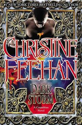 Book cover for Dark Storm