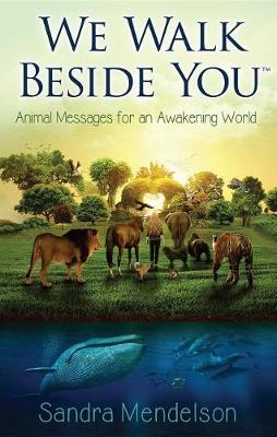 Cover of We Walk Beside You