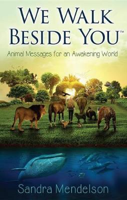 Book cover for We Walk Beside You