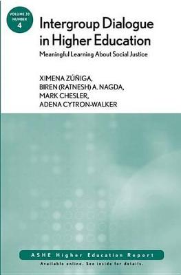 Book cover for Intergroup Dialogue in Higher Education: Meaningful Learning About Social Justice