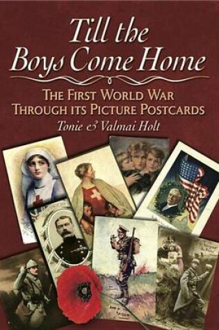 Cover of Till the Boys Come Home