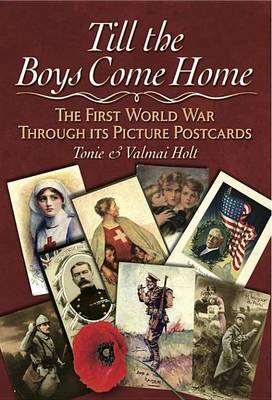 Book cover for Till the Boys Come Home