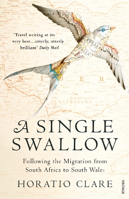 Book cover for A Single Swallow