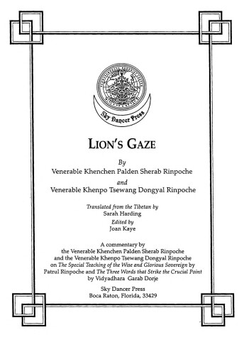 Book cover for Lion's Gaze