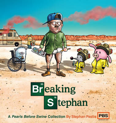 Book cover for Breaking Stephan
