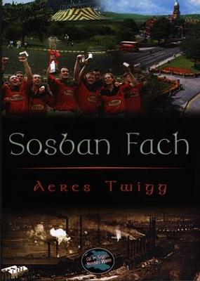 Book cover for Cyfres Cip ar Gymru / Wonder Wales: Sosban Fach