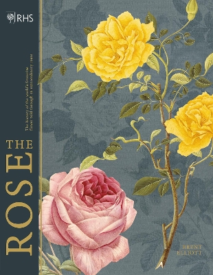 Book cover for RHS The Rose