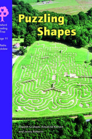 Cover of Oxford Reading Tree: Stage 11: Maths Jackdaws: Puzzling Shapes