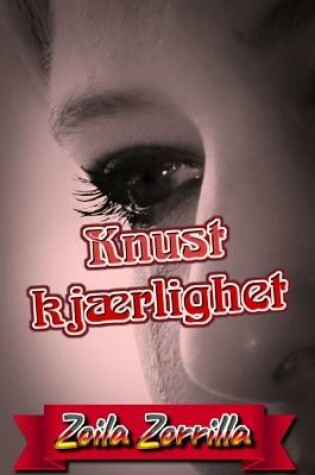 Cover of Knust kjærlighet