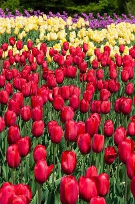 Book cover for A Field of Purple, Yellow and Red Tulips Journal