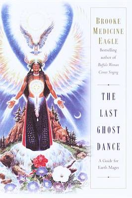 Book cover for The Last Ghost Dance