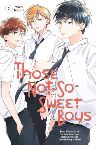 Cover of Those Not-So-Sweet Boys 2