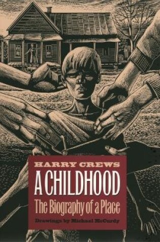 Cover of A Childhood
