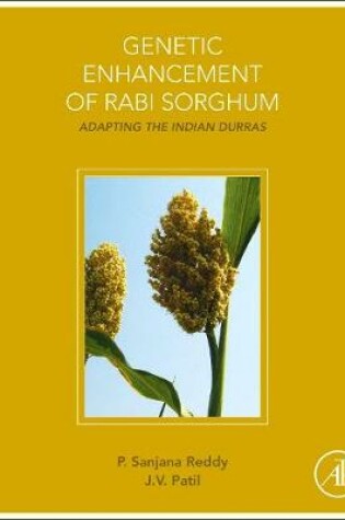 Cover of Genetic Enhancement of Rabi Sorghum