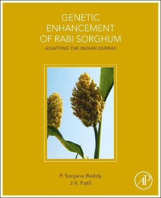 Book cover for Genetic Enhancement of Rabi Sorghum