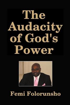 Book cover for The Audacity of God's Power