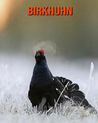 Book cover for Birkhuhn