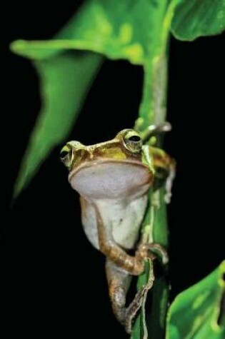 Cover of Tree Frog Notebook