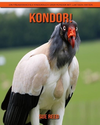 Book cover for Kondor! Ein pädagogisches Kinderbuch über Kondor mit lustigen Fakten
