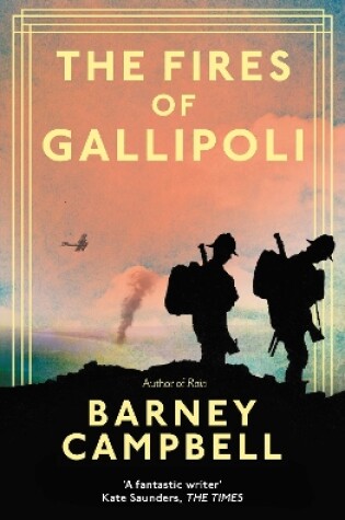 Cover of The Fires of Gallipoli