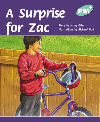 Book cover for A Surprise for Zac