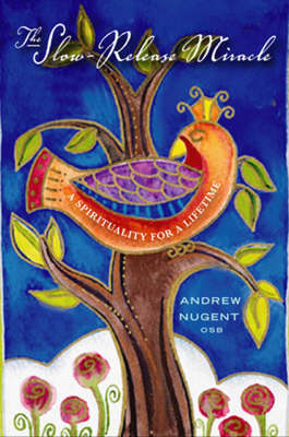 Book cover for The Slow-Release Miracle