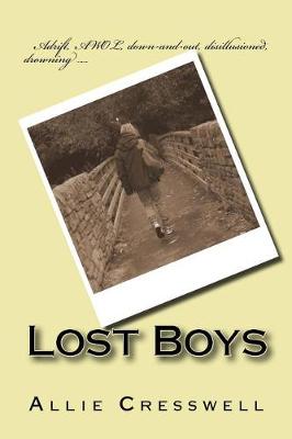 Book cover for Lost Boys