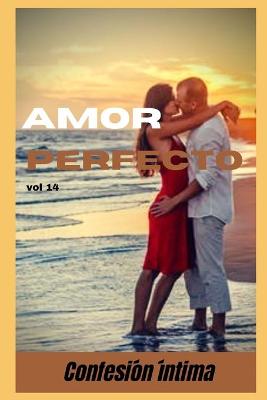 Book cover for Amor perfecto (vol 14)