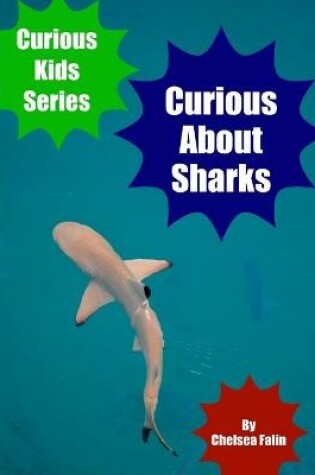 Cover of Curious About Sharks