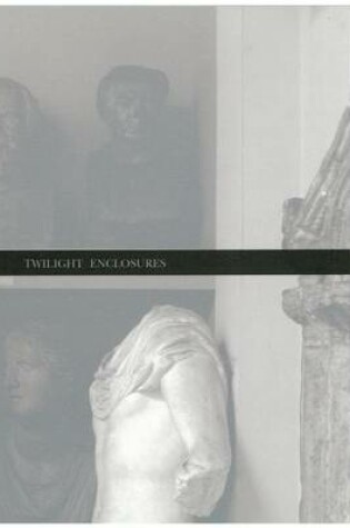Cover of Twilight Encounters