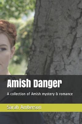 Cover of Amish Danger