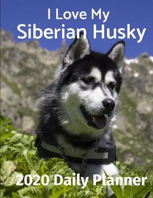 Book cover for I Love My Siberian Husky