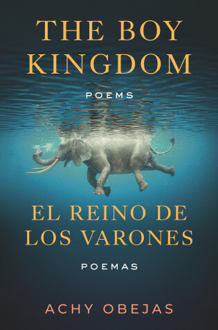 Cover of The Boy Kingdom / El reino de los varones