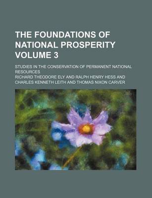 Book cover for The Foundations of National Prosperity Volume 3; Studies in the Conservation of Permanent National Resources