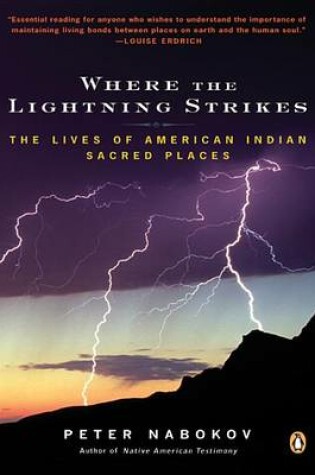Cover of Where the Lightning Strikes
