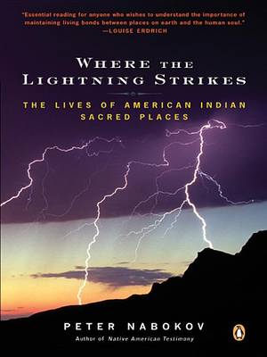 Book cover for Where the Lightning Strikes