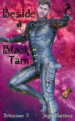 Book cover for Beside a Black Tarn