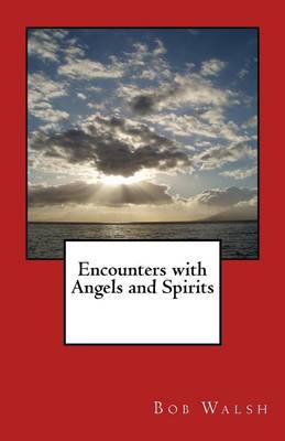 Book cover for Encounters with Angels and Spirits