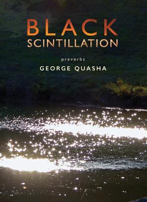 Book cover for Black Scintillation