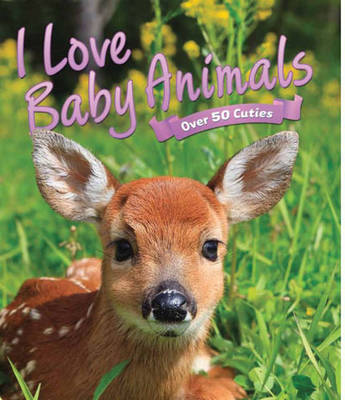 Book cover for I Love: Baby Animals