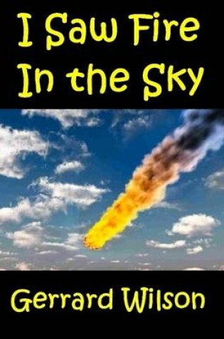 Cover of I Saw Fire in the Sky