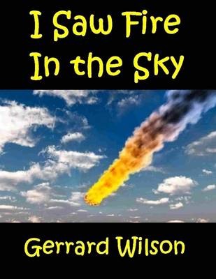 Book cover for I Saw Fire in the Sky