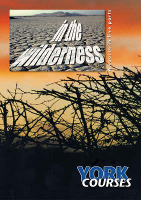 Book cover for In the Wilderness