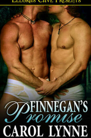 Cover of Finnegan's Promise