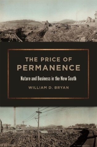 Cover of The Price of Permanence