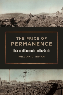 Book cover for The Price of Permanence